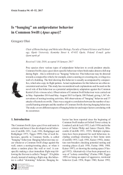 Is &ldquo;banging&rdquo; an antipredator behavior in Common