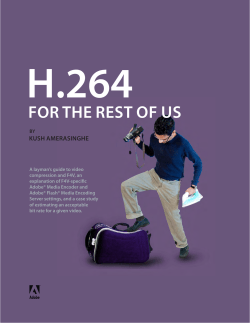 H.264 Primer