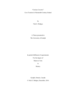Cave Tourism in Nineteenth-Century Ireland by Nick E