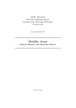 G3b_molecular_motors