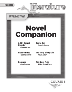 Novel Companion