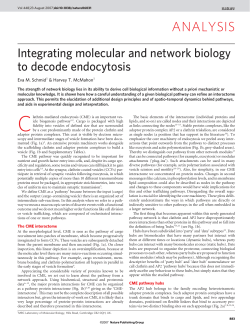 ANALYSIS - Endocytosis.org