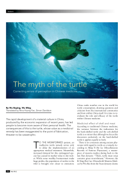 The myth of the turtle