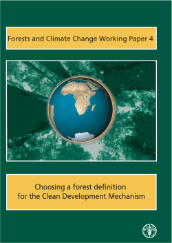 Choosing a forest definition for the Clean Development Mechanism