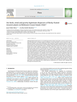 Are birds, wind and gravity legitimate dispersers of fleshy