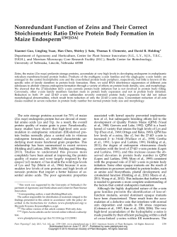 Nonredundant Function of Zeins and Their