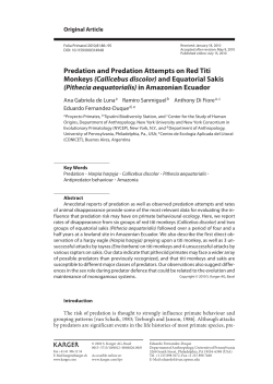 Predation and Predation Attempts on Red Titi Monkeys