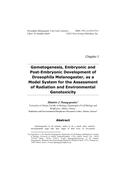 Gametogenesis, Embryonic and Post