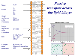 Passive transport across the lipid bilayer