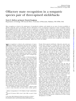 Olfactory mate recognition in a sympatric species pair of three