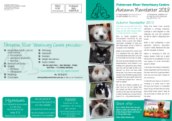 Autumn Newsletter 2013