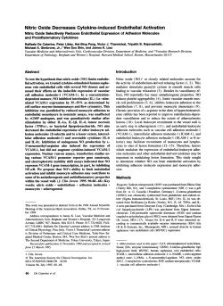 Nitric Oxide Decreases Cytokine-induced Endothelial Activation