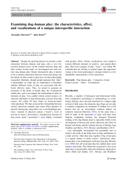 Examining dog&ndash;human play: the characteristics, affect