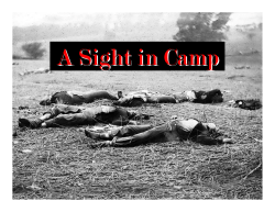 A Sight in Camp