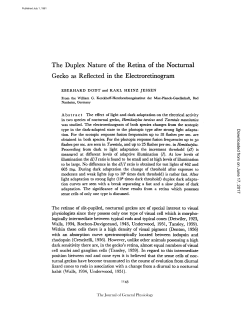 The Duplex Nature of the Retina of the Nocturnal Gecko as
