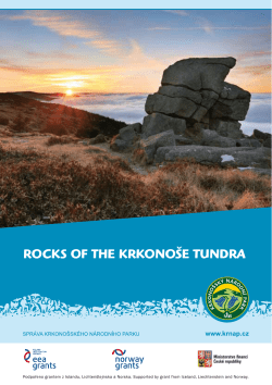 Rocks of the kRkono&scaron;e tundRa