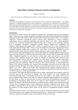 Mine Water Treatment Using Iron Ferrites and Magnetite
