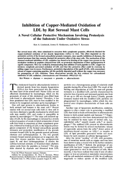 Inhibition of Copper-Mediated Oxidation of LDL by Rat Serosal Mast