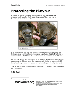 Protecting the Platypus