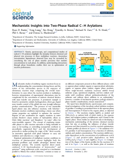 Mechanistic Insights into Two-Phase Radical C
