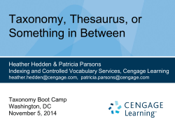 Taxonomy, Thesaurus, or Something in Between