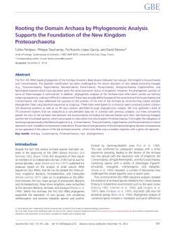 Rooting the Domain Archaea by Phylogenomic Analysis Supports