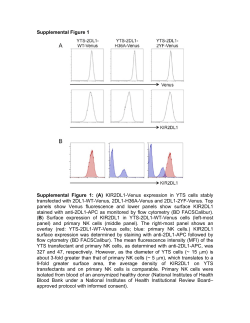 Supplemental Figure 1 Supplemental Figure 1: (A) KIR2DL1