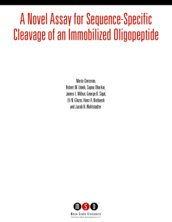 A Novel Assay for Sequence-Specific Cleavage of an Immobilized