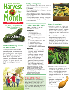 Zucchini English