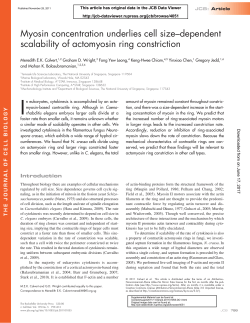Myosin concentration underlies cell size&ndash;dependent scalability of