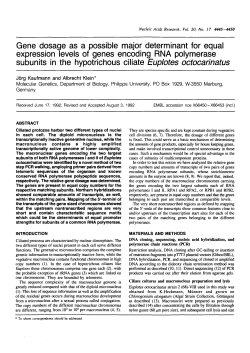 Gene dosage as a possible major determinant for equal expression