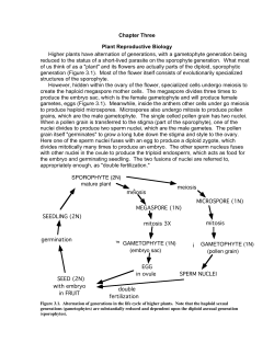 Chapter Three Plant Reproductive Biology Higher