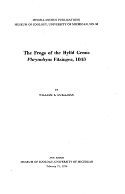 The Frogs of the Hylid Genus - Deep Blue