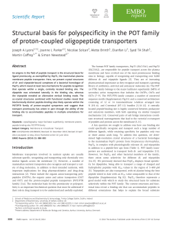 Structural basis for polyspecificity in the POT family of protoncoupled