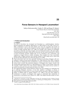 as PDF