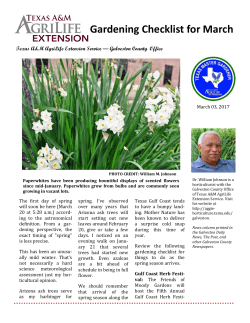 Gardening Checklist for March - AgriLife Extension County Offices