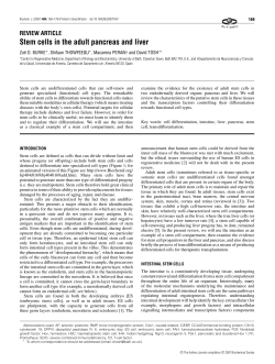 Stem cells in the adult pancreas and liver