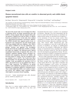 Human mesenchymal stem cells are sensitive to