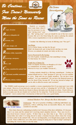 C:\Users\thecondor\Desktop\Free Dog Poster\Free vs. Adoption