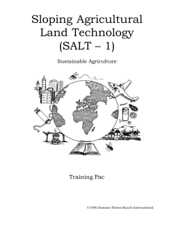 Salt 1 - Sommer Haven Ranch International