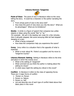 Literary Devices: Tangerine