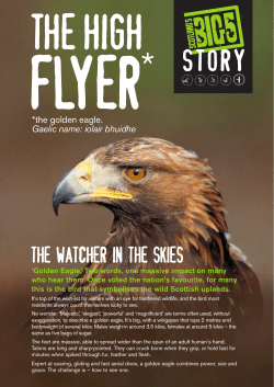 The high flyer