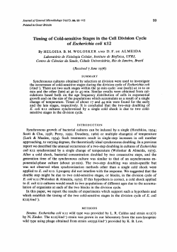 Timing of Cold-sensitive Stages in the Cell Division