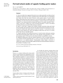 Forward attack modes of aquatic feeding garter snakes