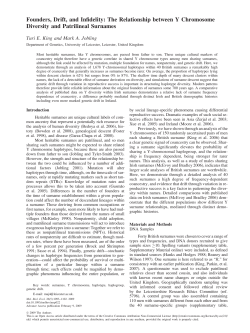 Founders, Drift, and Infidelity: The Relationship between Y