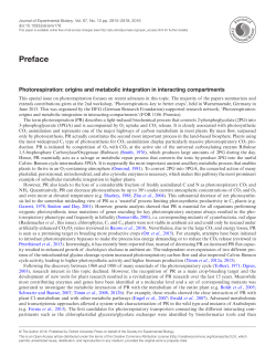 Photorespiration: origins and metabolic integration in interacting