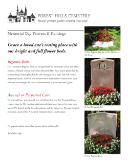 Grace a loved one`s resting place with our bright and full flower beds.