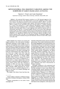 mitochondrial dna sequence variation among the subspecies of