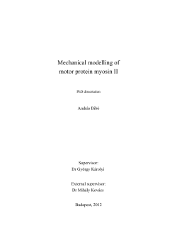 Mechanical modelling of motor protein myosin II