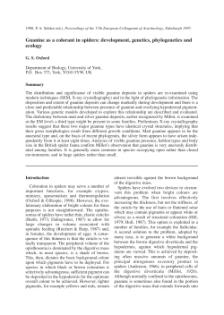 Guanine as a colorant in spiders: development, genetics